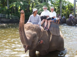 Jane and Frank in Indonesia